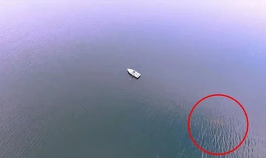 Suyun altında iki əsrlik bir sirr: Amerikanın "Nessi"si kameraya düşdü