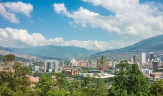 880 min ağac əkildi, şəhərdə temperatur bir neçə dərəcə aşağı düşdü