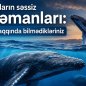 Balinalar niyə Yer kürəsinin xilaskarları hesab olunur? - VİDEO