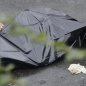 Bakıda qayınata gəlinini narahat edən şəxsin üzərindən avtomobillə keçdi