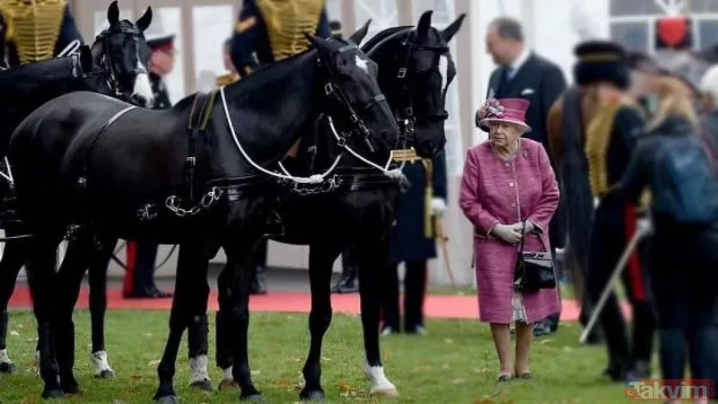 III Çarlz II Elizabetin 12 yarış atını satacaq - FOTO