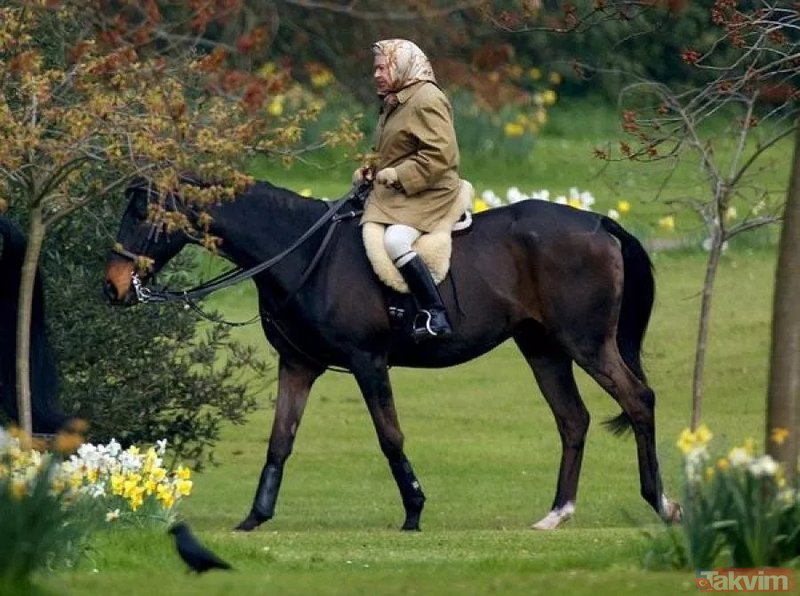 III Çarlz II Elizabetin 12 yarış atını satacaq - FOTO