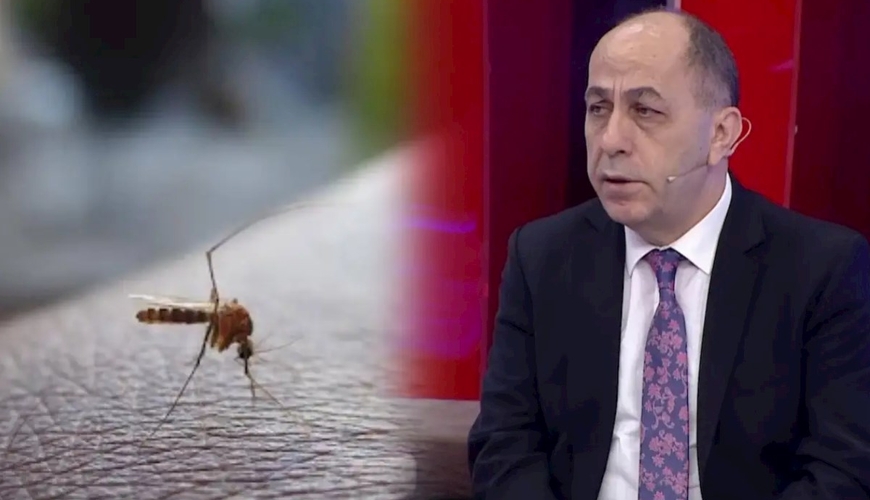 Buna görə Bakıda bu il ağcaqanad çoxdur — Adil Qey