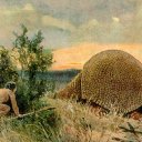 Tarixdən əvvəlki argentinalılar nəhəng armadilloları məhv ediblər - Alimlər