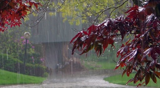 Temperatur düşəcək, leysan yağacaq - XƏBƏRDARLIQ