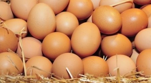 Yumurta bu səbəbdən kəskin ucuzlaşıb - AÇIQLAMA