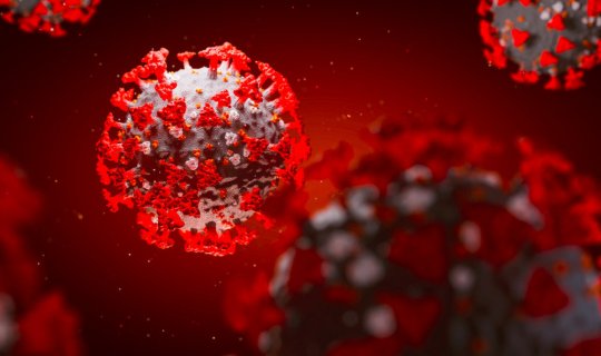 ABŞ Gürcüstanda koronavirus genini öyrənən laboratoriya yaradıb