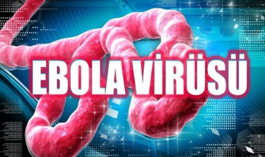 Facebook-da yeni funksiya: Ebolaya qarşı