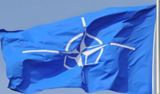 NATO PA erməniləri pislədi