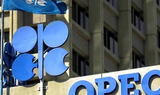 OPEC dünyanı şoka saldı