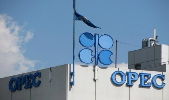 OPEC: Neftin qiyməti 30 dollara düşə bilər