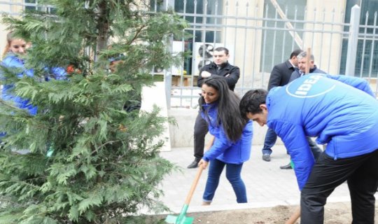 Leyla Əliyevanın təşəbbüsü ilə Bakıda yeni ağaclar əkildi