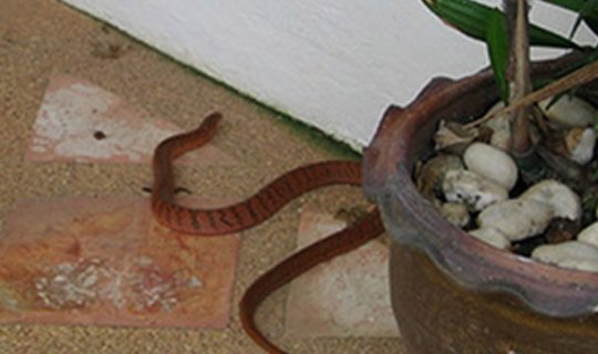 39 yaşlı kişini ilan sancdı
