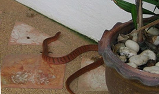 23 yaşlı gənci ilan sancdı