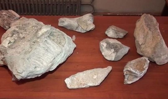 Mingəçevirdə 4 milyon illik fil sümükləri tapıldı