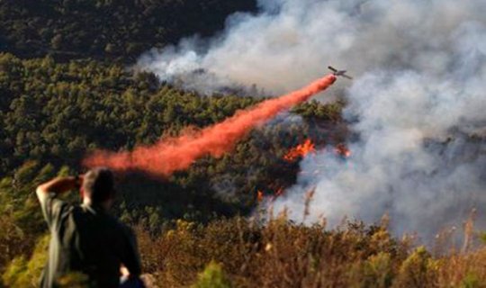 Kipr prezidenti: Meşə yanğını faciə oldu