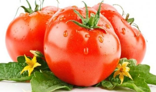 Bakıda yarım ton təhlükəli pomidor aşkarlandı