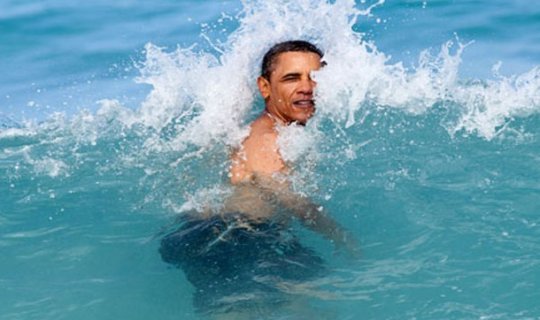 Yeni balıq növünə Obamanının adı verildi