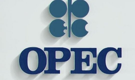 OPEC: Bu il Azərbaycan gündəlik 800 min barel maye qaz tədarük edəcək