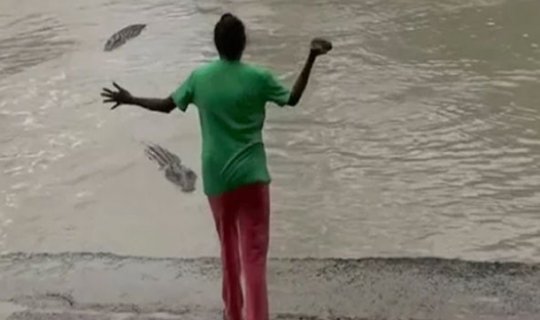 Qadın ona hücum edən timsahı tərliyi ilə qovdu