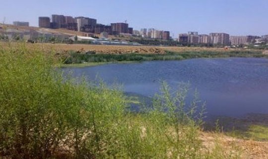 “Qanlı Göl” ərazisində 2 min sosial mənzil tikiləcək
