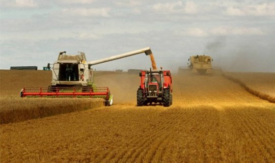 İlin yekunu: dünyanın aqrar sektoru