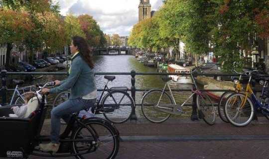 Amsterdamda yeni qanun