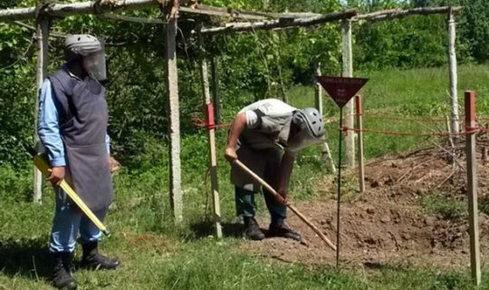 Cocuq Mərcanlıya aparan yolda 120 qəlpə aşkarlandı