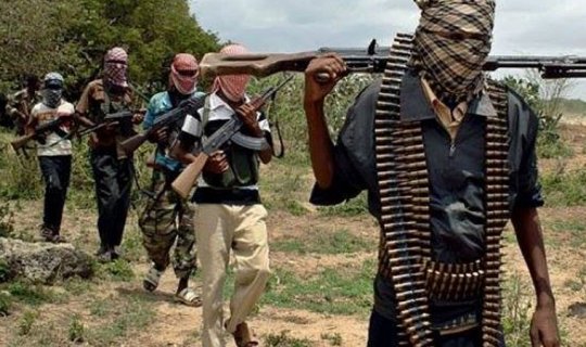 Nigerdə terrorçular kəndə hücum etdilər