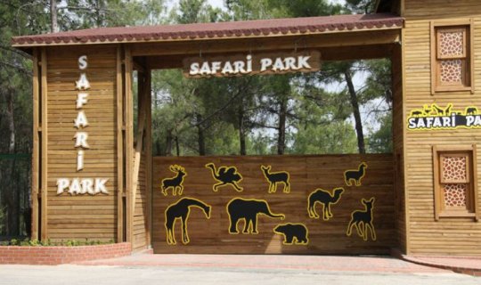 Şamaxıda Safari Parkı açılıb