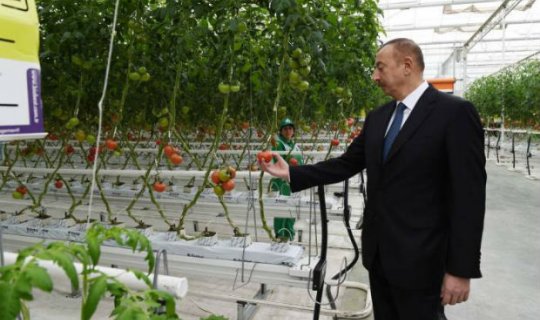 Prezident “BAKU AGROPARK”la tanış oldu