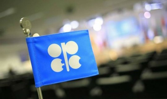 Azərbaycan OPEC qarşısında öhdəliyini yerinə yetirdi