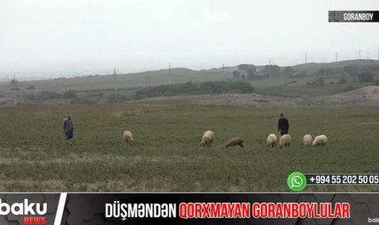 Düşmənin intensiv atəşə tutduğu Goranboydan VİDEOREPORTAJ