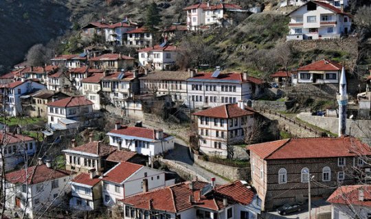 Türkiyədə vilayətin mərkəzində Azərbaycan bayrağı asıldı - FOTO