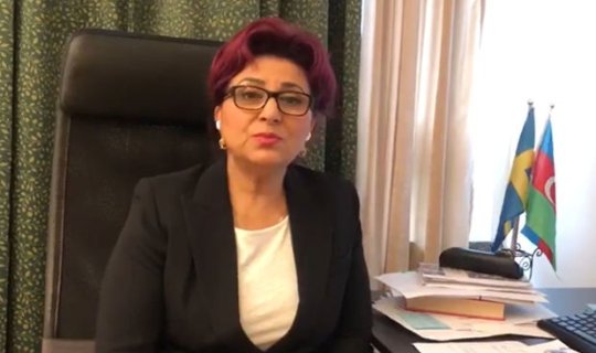 İsveç Azərbaycanlılarının Koordinasiya Şurasının əlaqələndiricisi erməni təxribatını qınayır - VİDEO