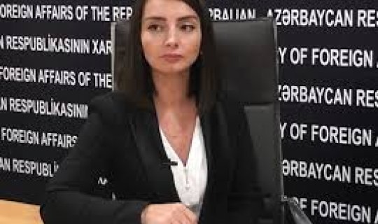 Leyla Abdullayeva: “Etnik nümayəndələr Azərbaycanın tərkibində sülh, təhlükəsizlik şəraitdə yaşayırlar”