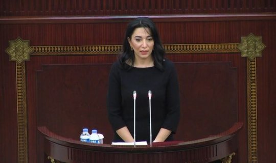 Ombudsman Mingəçevirin atəşə tutulması ilə bağlı bəyanat yaydı