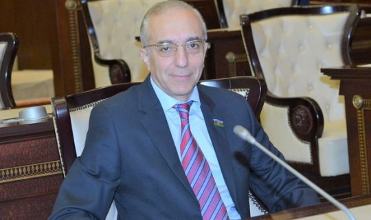 Deputat: “Qəsbkar Ermənistan beynəlxalq humanitar hüququn qadağan etdiyi silahlardan istifadə edir”