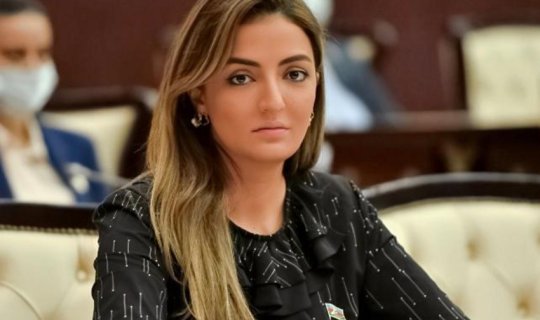 Beynəlxalq təşkilatlar Ermənistanın işğal siyasəti ilə bağlı məlumatlandırılıb