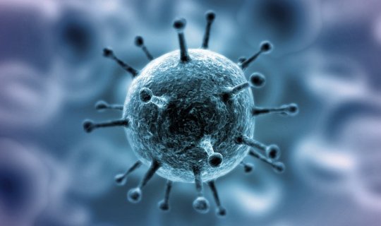 Koronavirus əqli zəifliyə səbəb ola bilər