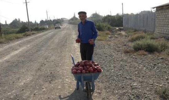 Düşmən hücumuna məruz qalan Naftalanda həyat öz axarı ilə davam edir - VIDEO