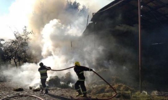 Ermənistan silahlı qüvvələrinin atdığı mərmilər yanğınlara səbəb olub