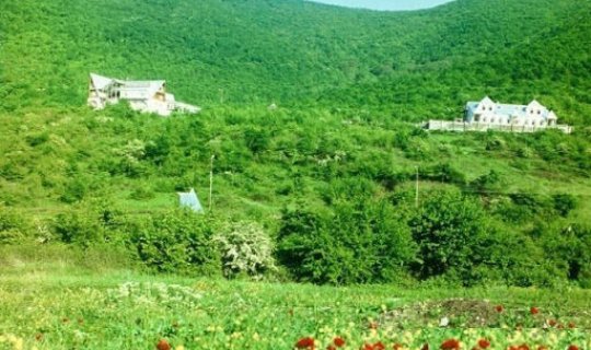 Əslən Zəngilandan olan müğənni Prezidentin qələbə müjdəsini BELƏ QARŞILADI