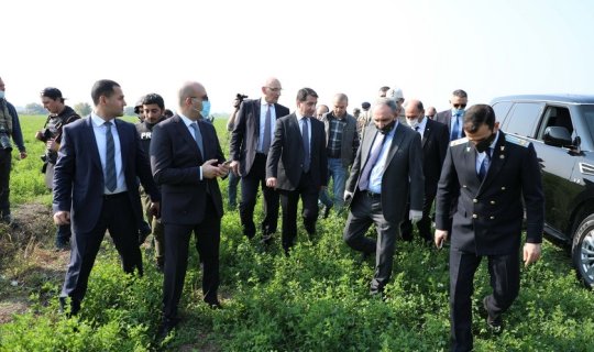 Hikmət Hacıyev diplomatlara həmrəyliyə görə təşəkkür etdi