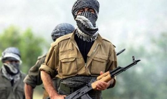 Qarabağda daha 12 PKK/YPG terrorçusu məhv edildi