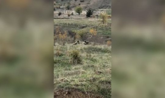 Ağdamı tərk etmək istəməyən erməni əsgərlərinə xəbərdarlıq: “Sizin ölümünüz heç nəyi dəyişməyəcək” - VİDEO