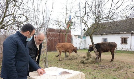 Müharibə iştirakçıları üçün təsərrüfatlar yaradılıb - FOTO