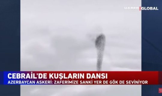 Cəbrayıl səmasında quşların rəqsi: Zəfərimizə yer-göy sevinir - VİDEO