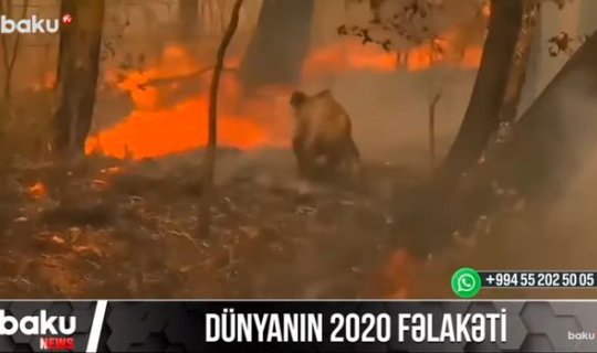 Dünyanın yaddaşında fəlakətlərlə qalan 2020-ci il - VİDEO