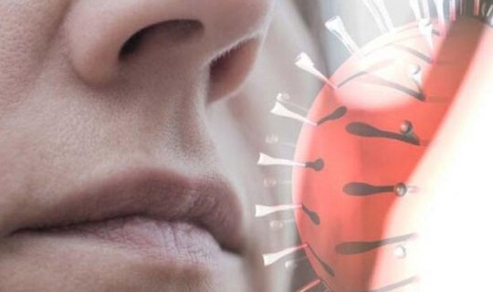 Koronavirusu məhv edən təbii vasitəxa0TAPILDI